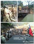 六石街道枫树下红树林副本