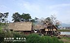 兰陵王红树林景区拍摄副本
