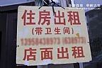 2015横店房屋出租广告2