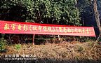 QQ图片2016鸳鸯0305145113副本